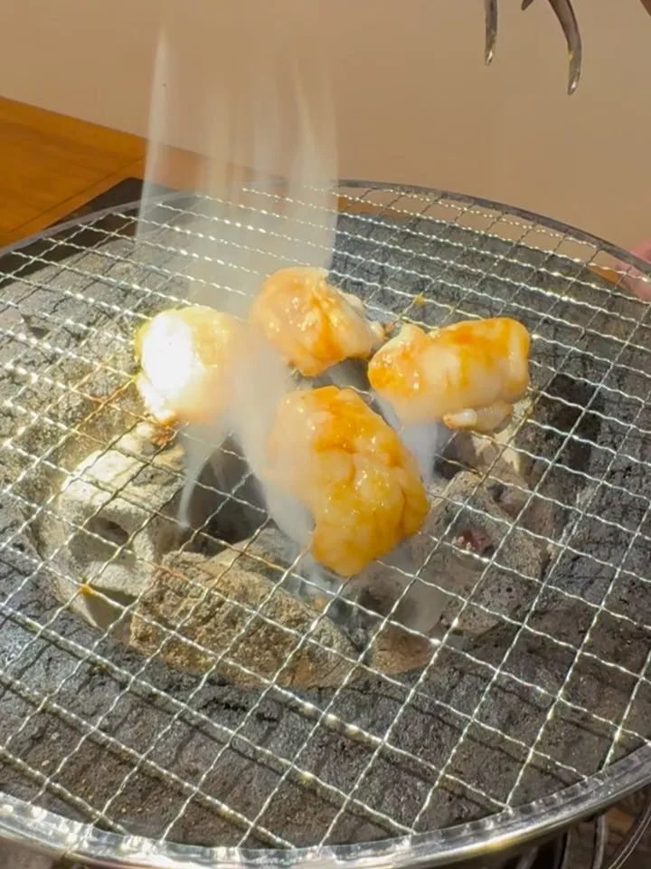 🔥これが……ホルモン！？